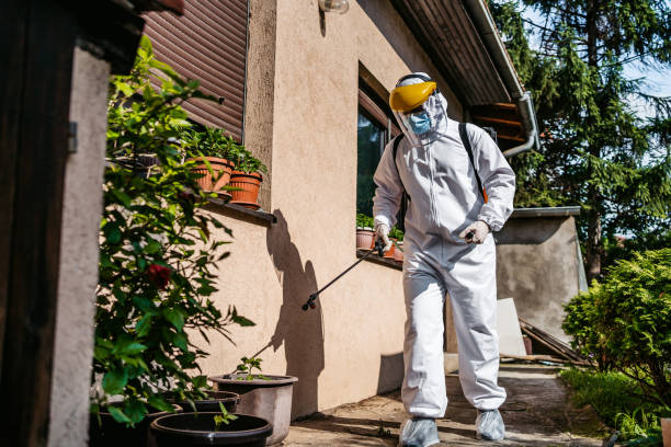 Best Termite Control Services  in Marbleton, WY