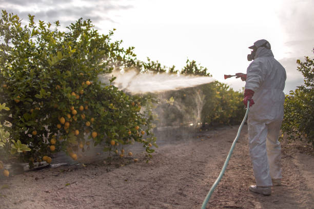 Best Pest Prevention Services  in Marbleton, WY