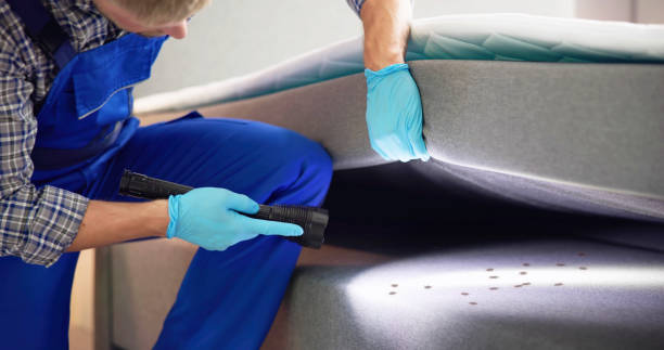 Best Residential Pest Control  in Marbleton, WY