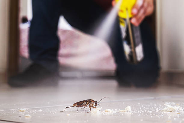 Best Affordable Pest Control Services  in Marbleton, WY