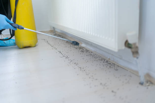 Best Rat Extermination Near Me  in Marbleton, WY