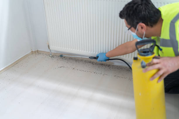 Best Best Pest Control Companies  in Marbleton, WY