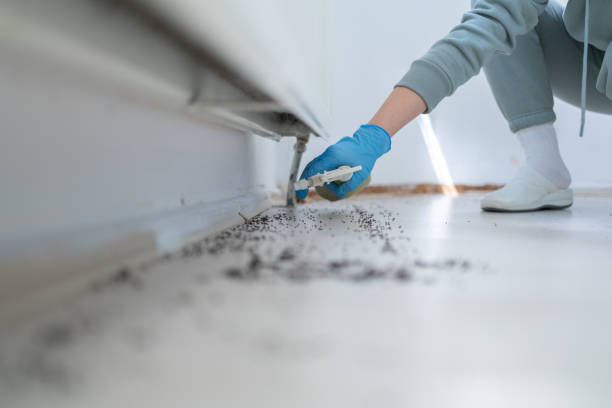 Best Local Pest Control Services  in Marbleton, WY